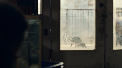 ftwd601_scnet_0648.jpg
