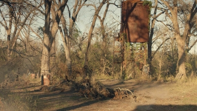 ftwd601_scnet_1097.jpg