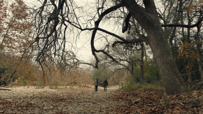 ftwd601_scnet_1322.jpg