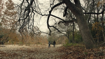 ftwd601_scnet_1323.jpg