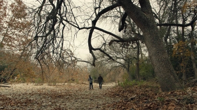 ftwd601_scnet_1326.jpg