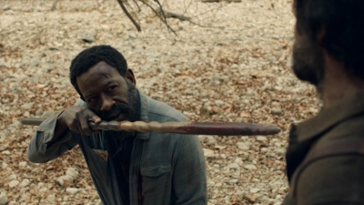 ftwd601_scnet_1376.jpg