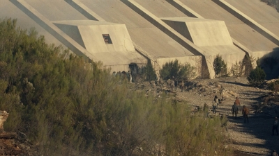 ftwd601_scnet_1510.jpg