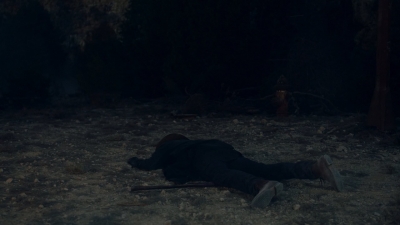 ftwd601_scnet_2011.jpg