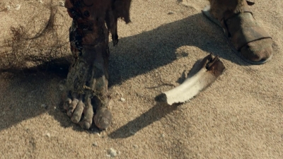 ftwd601_scnet_2545.jpg