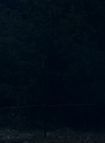 ftwd601_scnet_0040.jpg