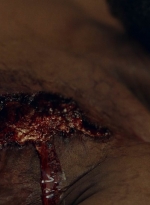 ftwd601_scnet_0942.jpg