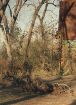 ftwd601_scnet_1097.jpg
