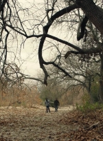 ftwd601_scnet_1320.jpg