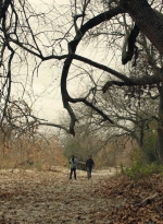 ftwd601_scnet_1321.jpg