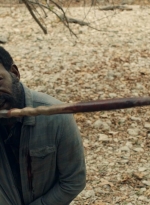 ftwd601_scnet_1367.jpg