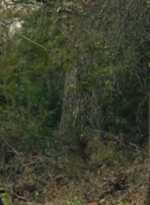 ftwd601_scnet_1409.jpg