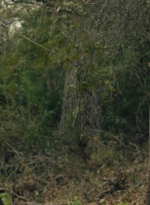 ftwd601_scnet_1410.jpg
