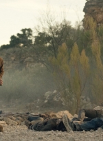 ftwd601_scnet_1684.jpg