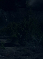 ftwd601_scnet_1953.jpg