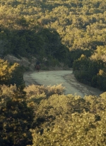 ftwd601_scnet_2536.jpg