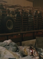 ftwd602_scnet_1594.jpg