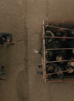 ftwd602_scnet_1596.jpg