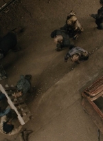 ftwd602_scnet_1622.jpg