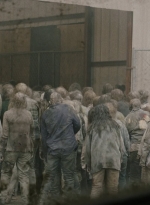 ftwd602_scnet_1687.jpg