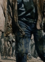 ftwd602_scnet_1749.jpg