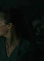 ftwd602_scnet_1880.jpg