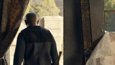 ftwd603_scnet_0111.jpg