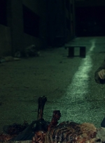 ftwd603_scnet_0724.jpg