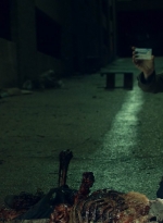 ftwd603_scnet_0725.jpg
