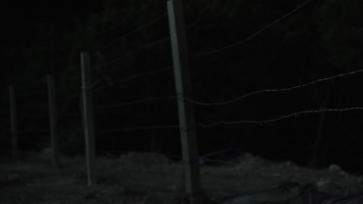 ftwd604_scnet_0516.jpg