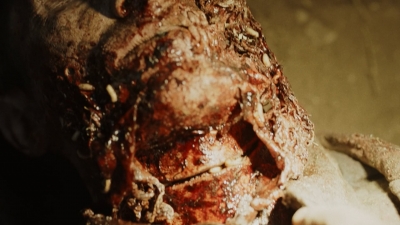 ftwd604_scnet_1244.jpg