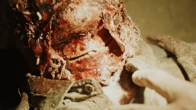 ftwd604_scnet_1245.jpg