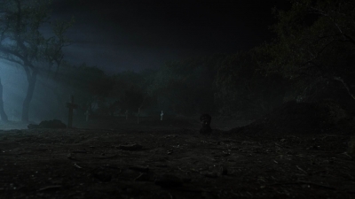 ftwd604_scnet_1311.jpg