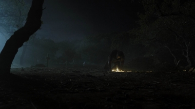 ftwd604_scnet_1320.jpg