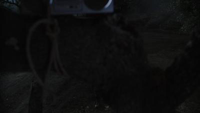 ftwd604_scnet_2071.jpg