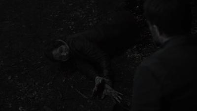 ftwd604_scnet_2131.jpg