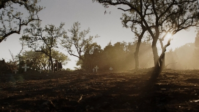 ftwd604_scnet_2163.jpg