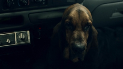 ftwd604_scnet_2507.jpg