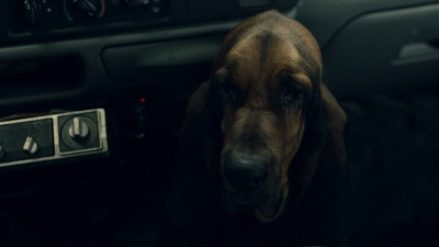 ftwd604_scnet_2508.jpg