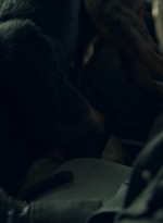 ftwd604_scnet_2492.jpg