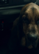 ftwd604_scnet_2507.jpg