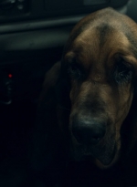 ftwd604_scnet_2508.jpg