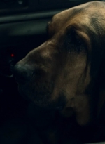 ftwd604_scnet_2509.jpg