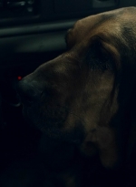 ftwd604_scnet_2510.jpg