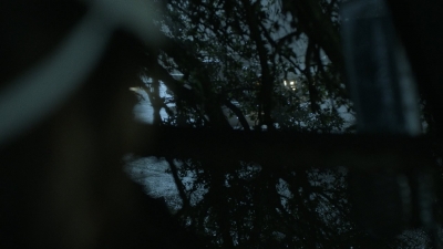 ftwd605_scnet_2102.jpg