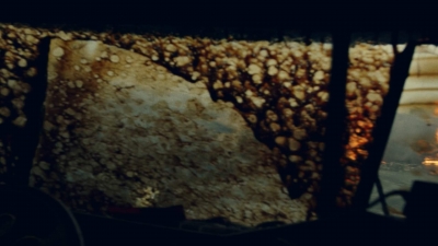 ftwd606_scnet_1185.jpg