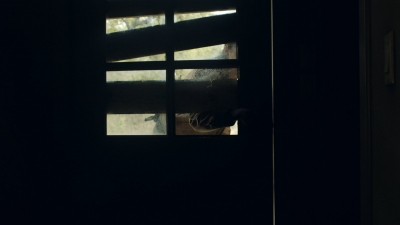 ftwd607_scnet_0606.jpg