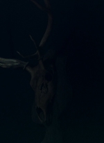 ftwd607_scnet_1330.jpg