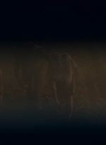 ftwd607_scnet_1551.jpg