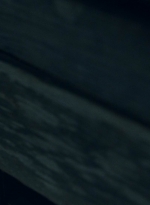 ftwd607_scnet_1836.jpg